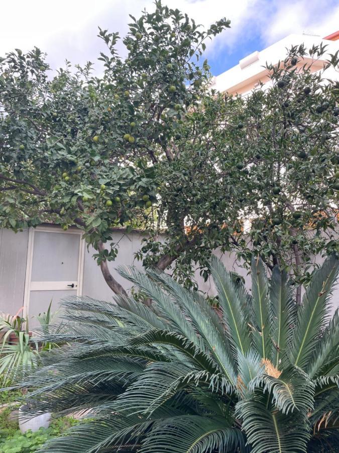 Tangerine Tree House Appartement Cagliari Buitenkant foto