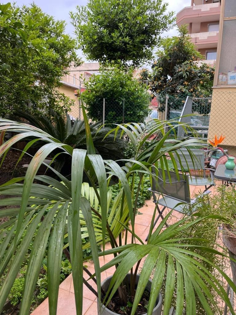 Tangerine Tree House Appartement Cagliari Buitenkant foto